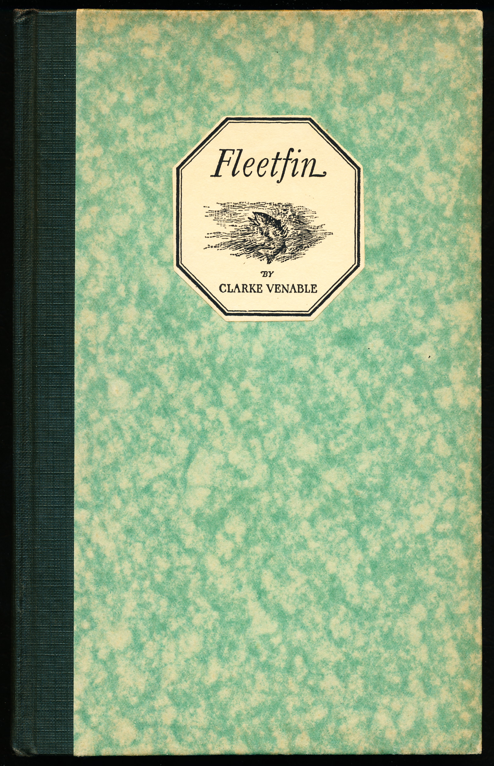 Image for FLEETFIN: