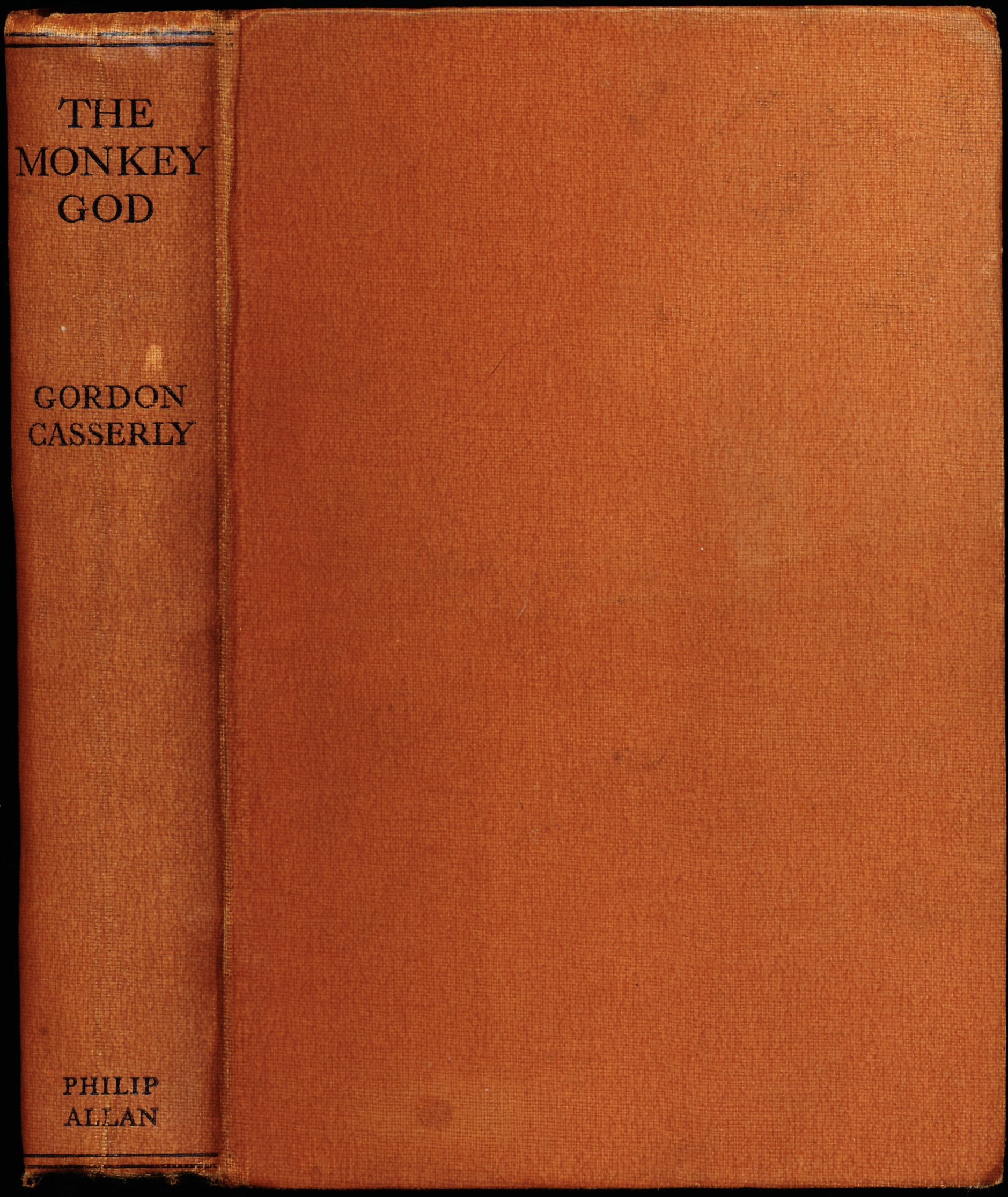 Image for THE MONKEY GOD THE MONKEY GOD