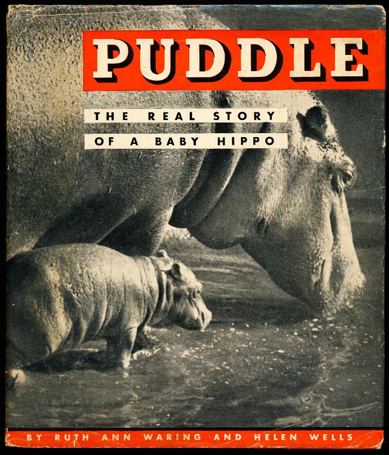 Image for PUDDLE. The Real Story of A Baby Hippo