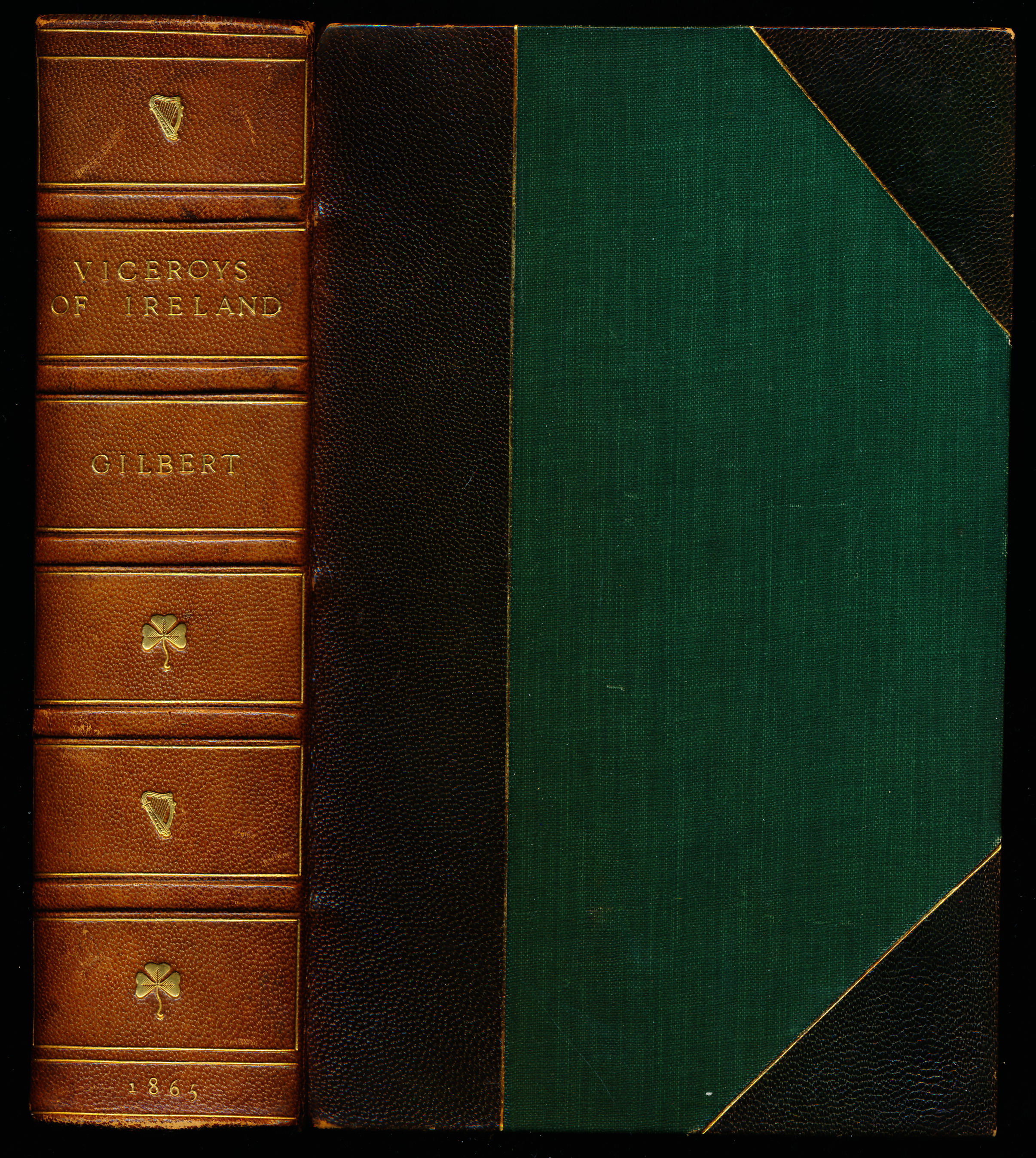 HISTORY OF THE VICEROYS OF IRELAND With Notices of the Castle of Dublin and The Chief Occupants in Former Times
