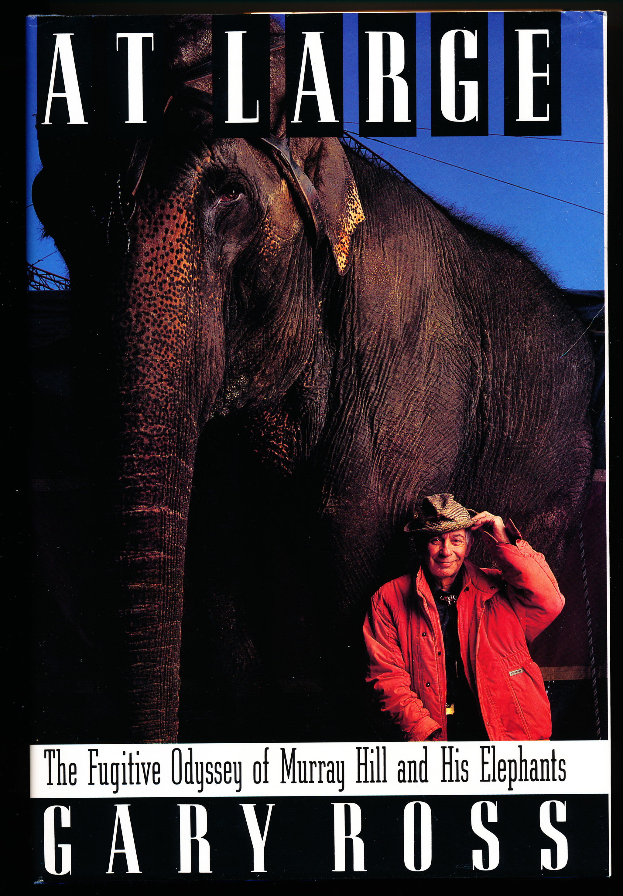 AT LARGE. The Fugitive Odyssey of Murray Hill and His Elephants